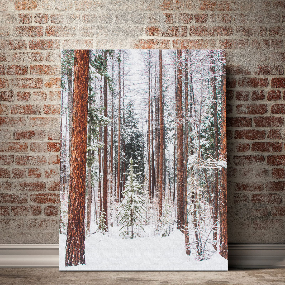 Lois Creek Stunning Wall Art by Mike Cotton