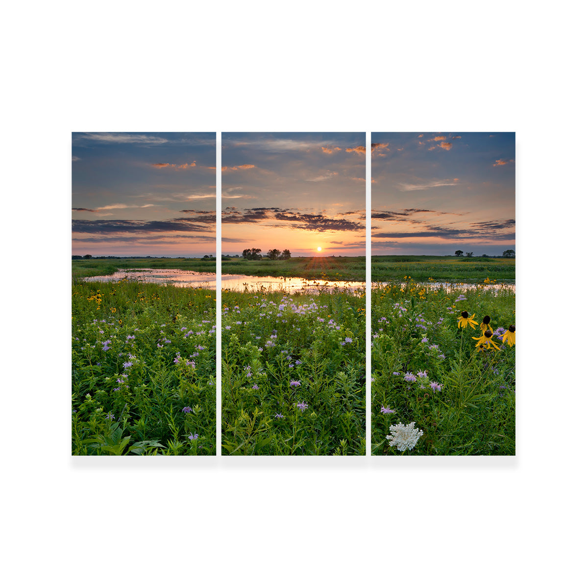 Stunning Open Field in Illinois Wall Art for Your Home Decor