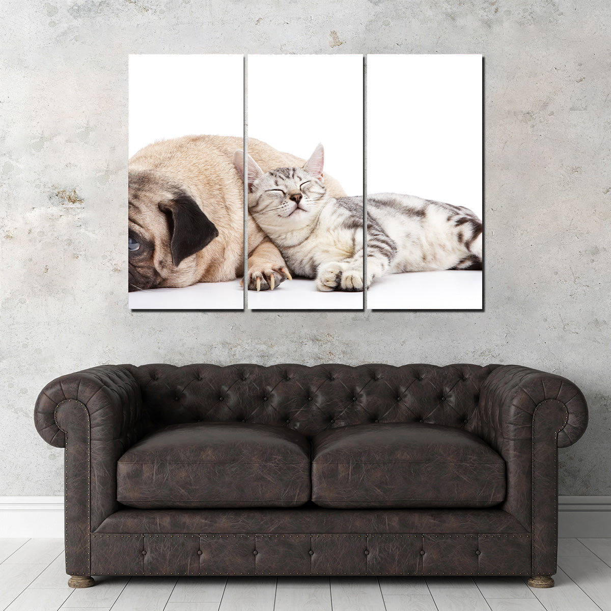 Adorable Pug and Cat Wall Art for Home Decor