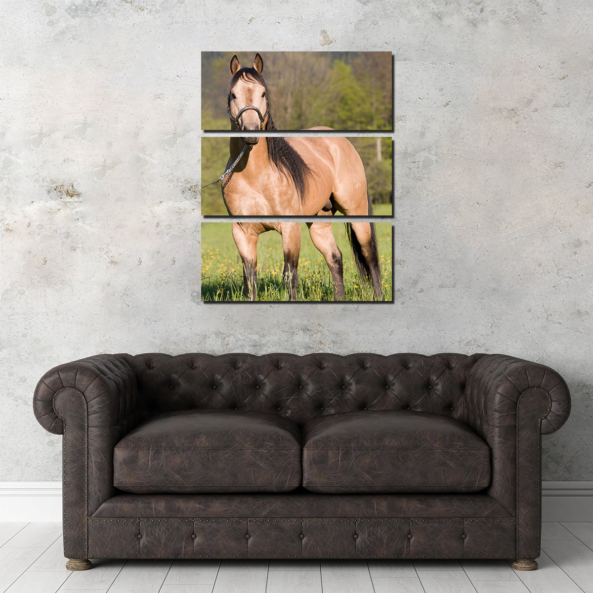 Stunning Quarter Horse Posing Wall Art for Horse Lovers