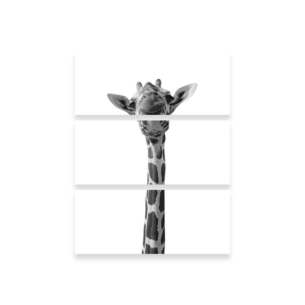 Whimsical Funny Giraffe Wall Art for Stunning Home Decor