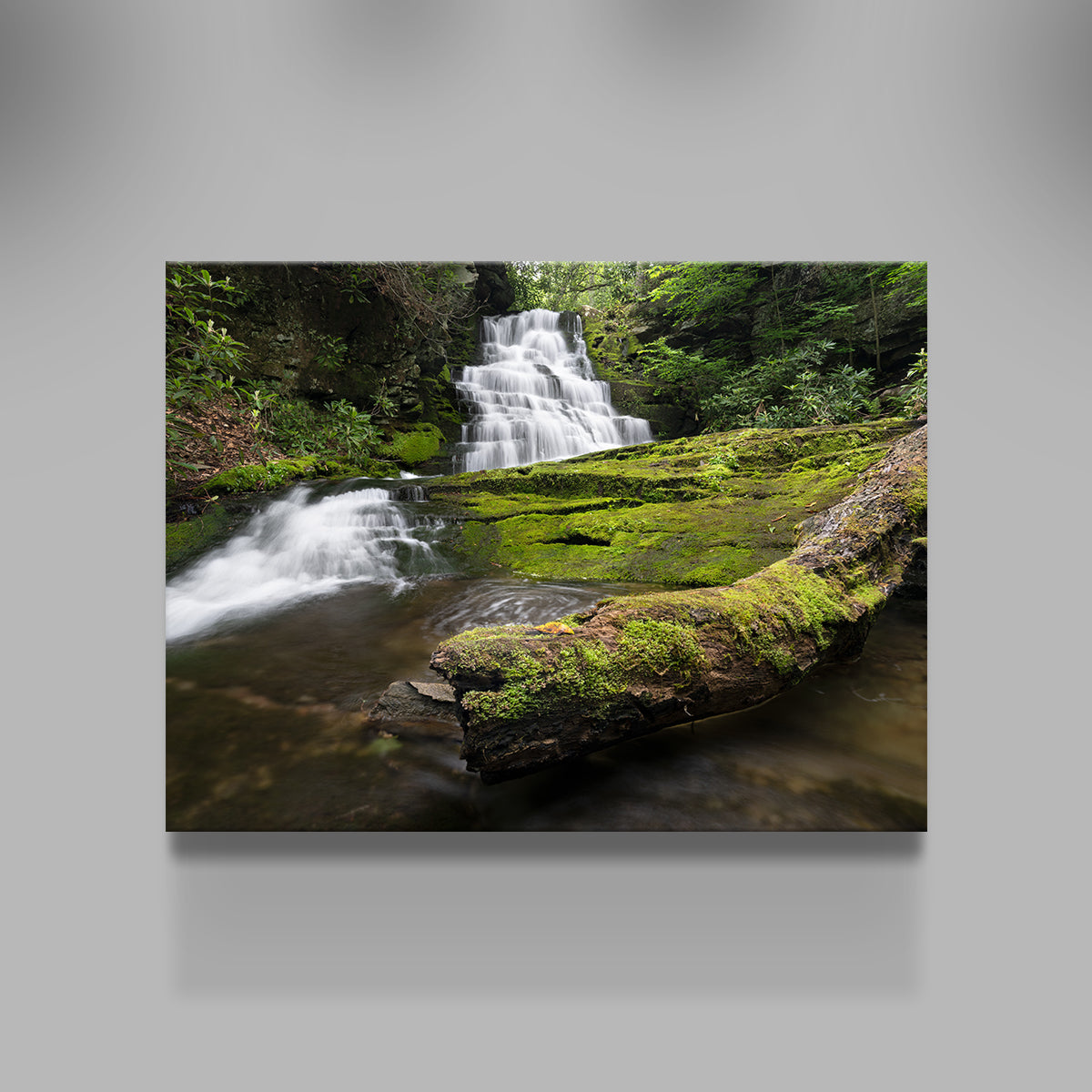Stunning Rattlesnake Falls Wall Art by Shaun Mayer