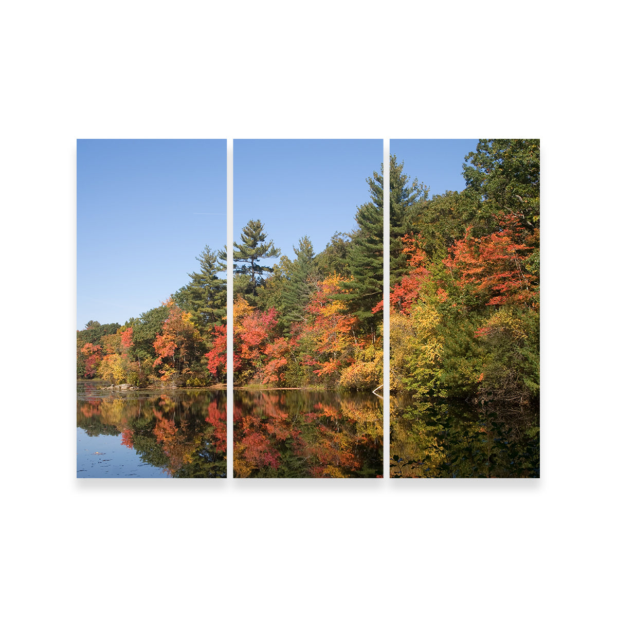 Stunning Harold Parker State Park Wall Art for Home Decor