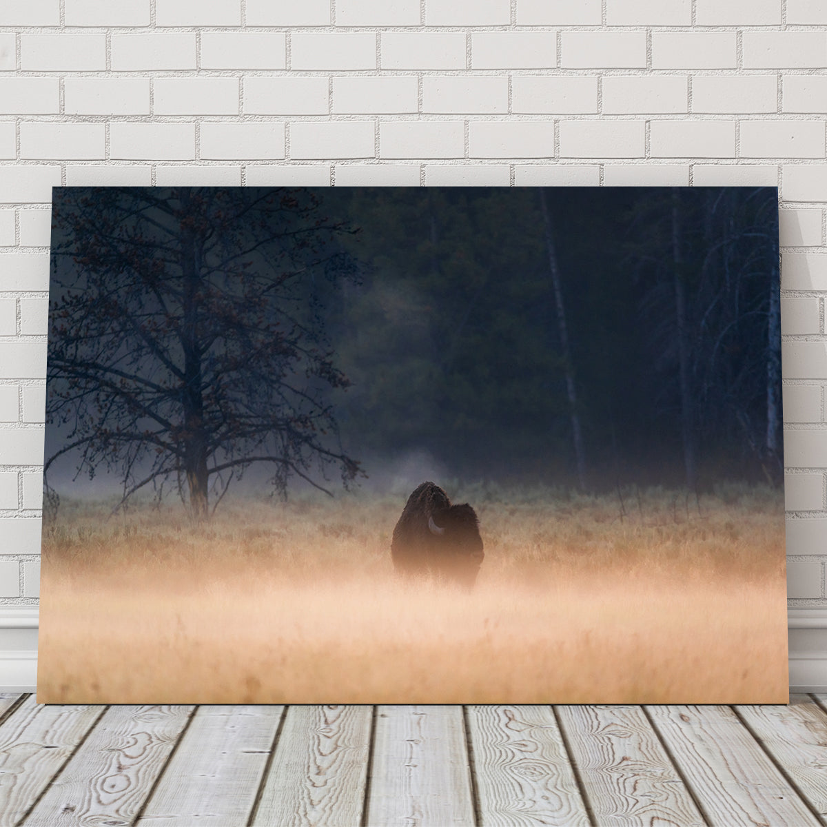 Enchanting Foggy Morning Wall Art by Lucas Moore