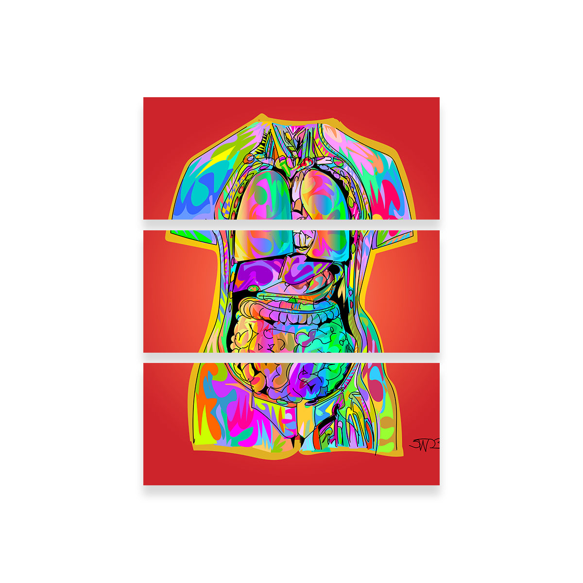 Exquisite Body Organs Wall Art for Stunning Home Decor