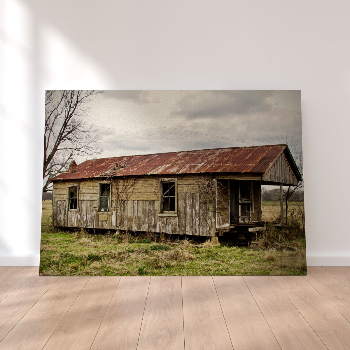 Louisiana Abandoned Cabin Wall Art by David Campbell - Museum Quality Canvas