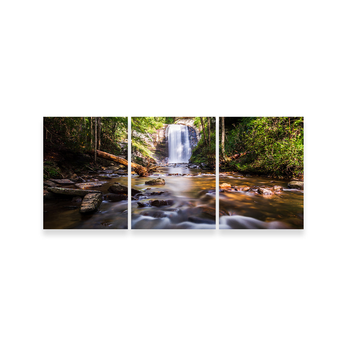 Looking Glass Falls, North Carolina Stunning Wall Art by Barry Pack