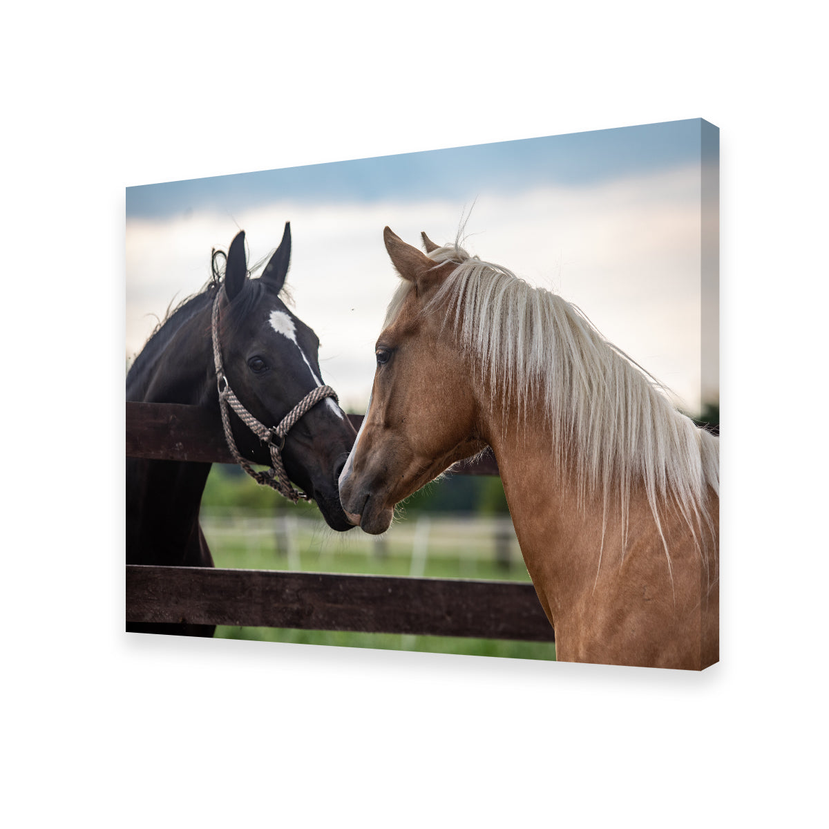 Exquisite Quarter Horses Wall Art for Stunning Decor