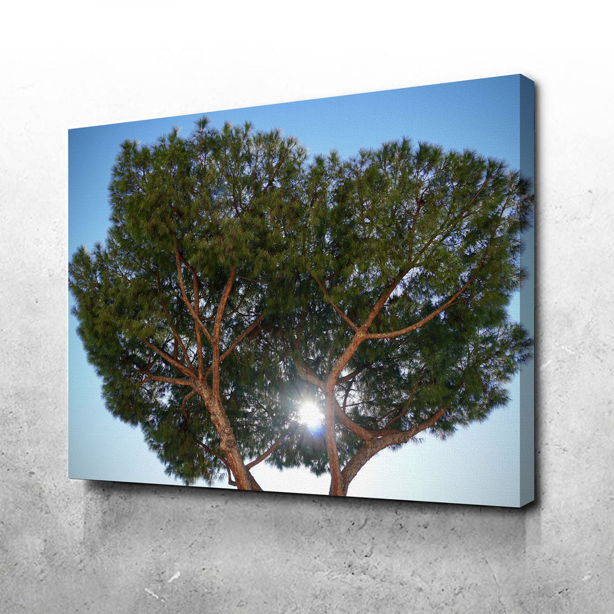 Exquisite Rome, Italy Wall Art by David Campbell