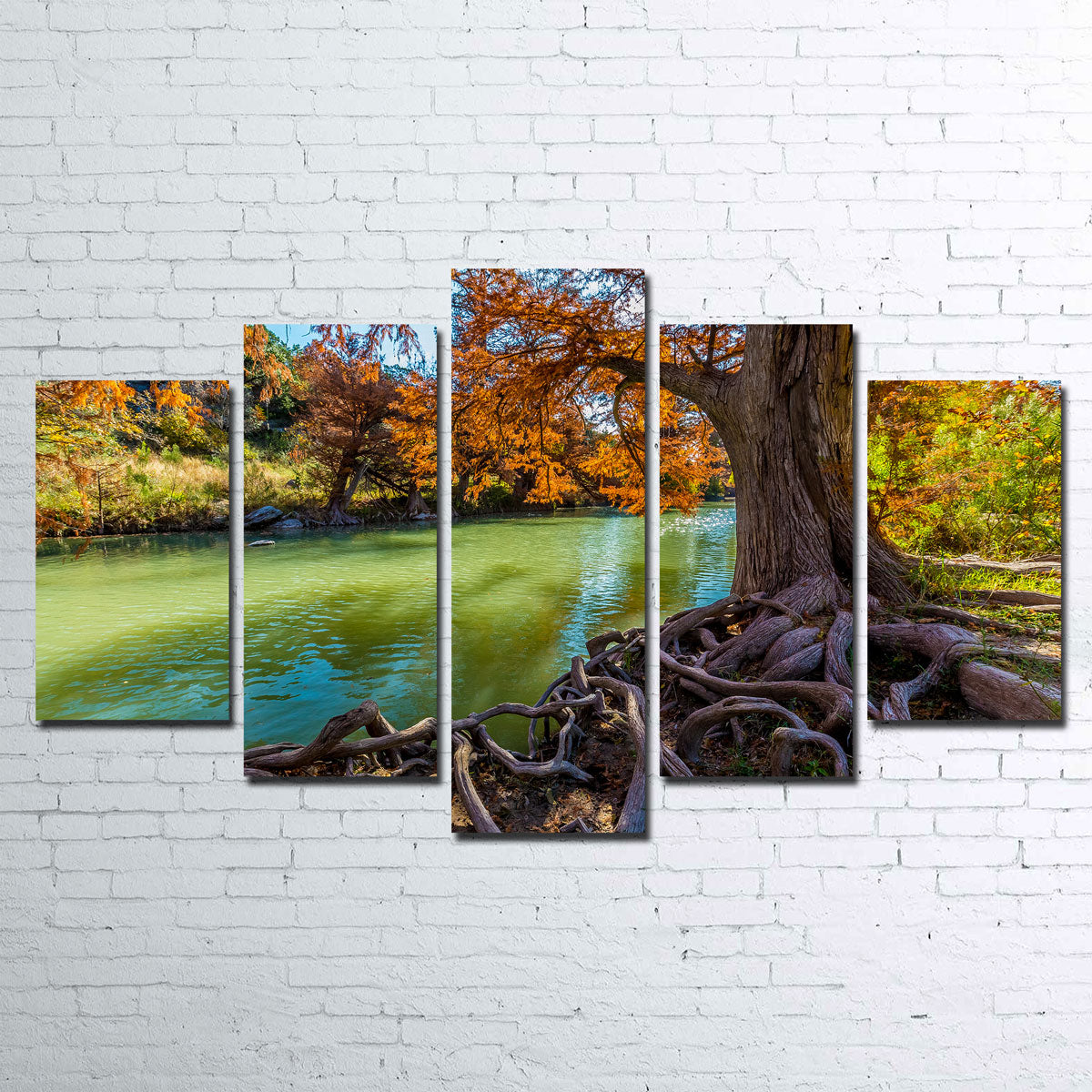 Stunning Guadalupe State Park Wall Art - Museum Quality Canvas