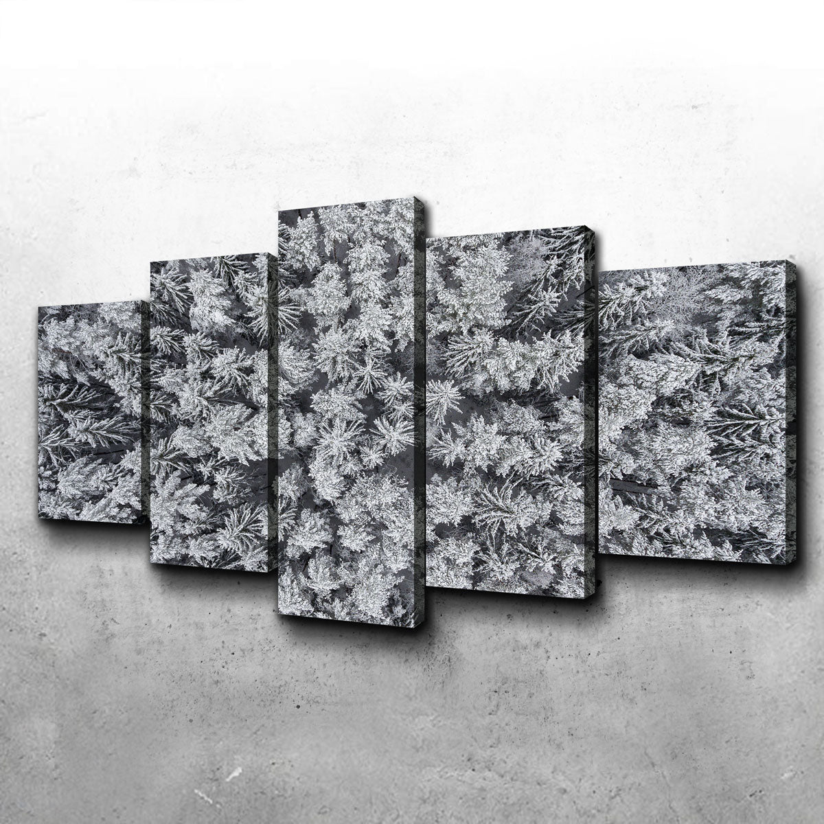 Exquisite Frosted Tips Wall Art by Karolis Janulis