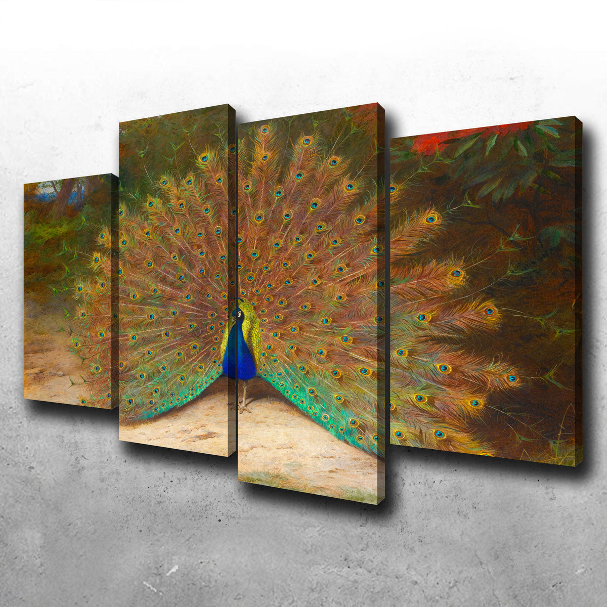 Exquisite Peacock and Peacock Butterfly Wall Art by Archibald Thorburn