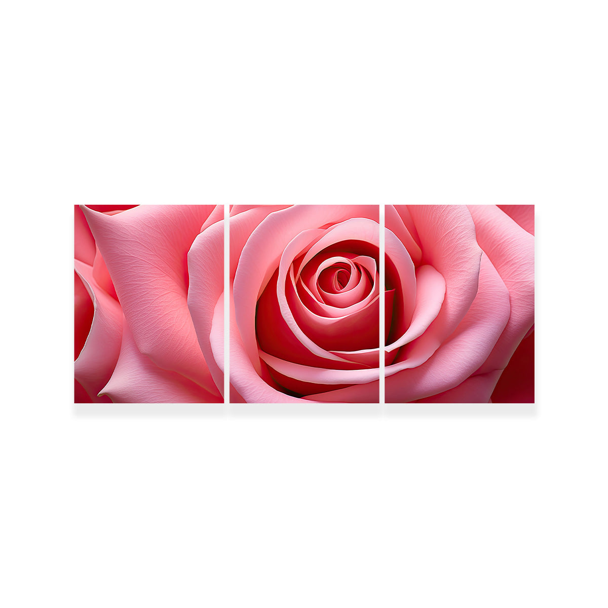 Stunning Light Pink Rose Art Print