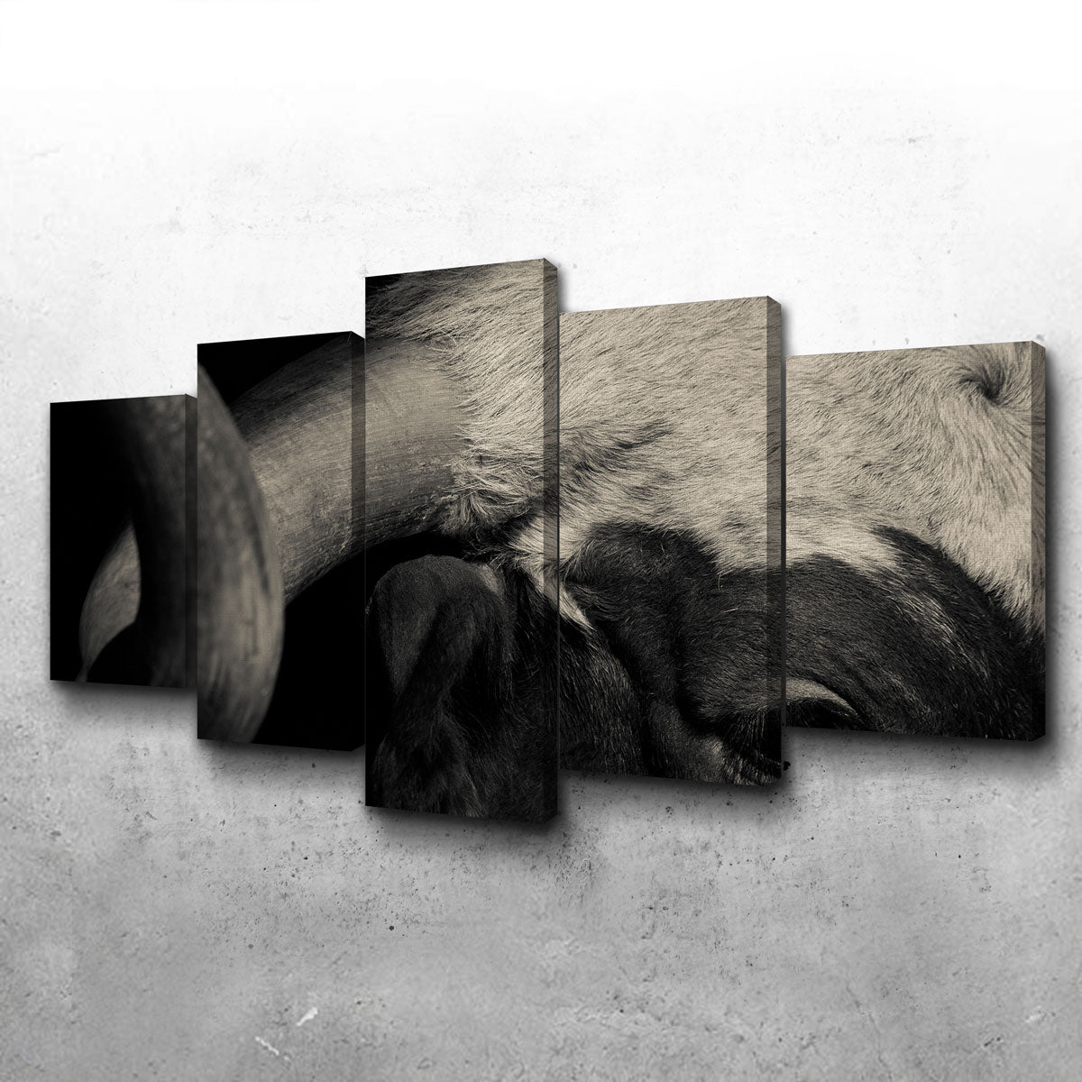 Stunning Texas Longhorn Cow Wall Art for Your Home Decor