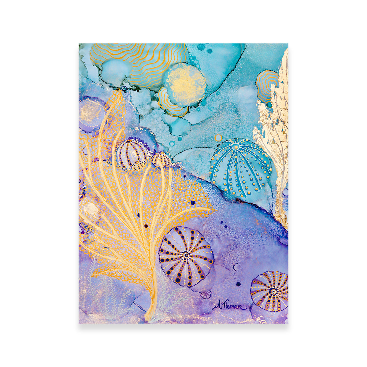 Exquisite Sea Urchin Hideaway Wall Art by Amy Tieman