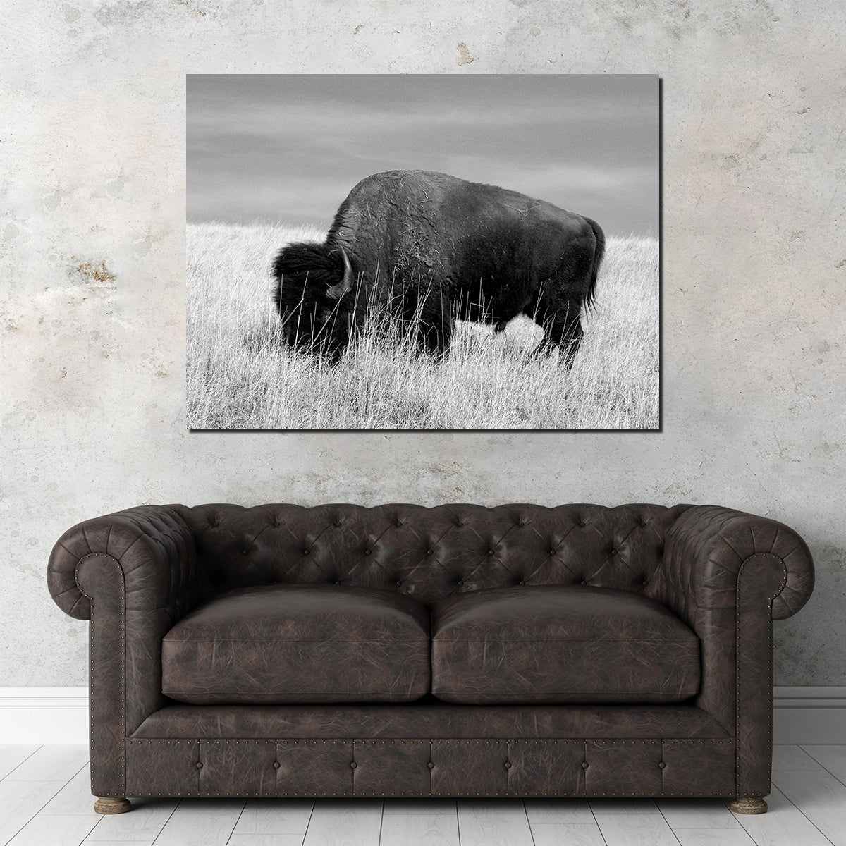 Lone Buffalo Grayscale Wall Art - Stunning Sustainable Decor