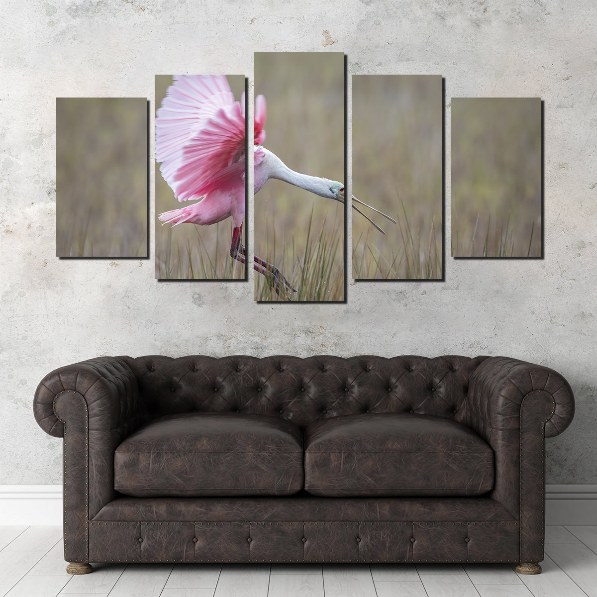 Stunning Roseate Spoonbill Wall Art from Merritt Island Wildlife Refuge
