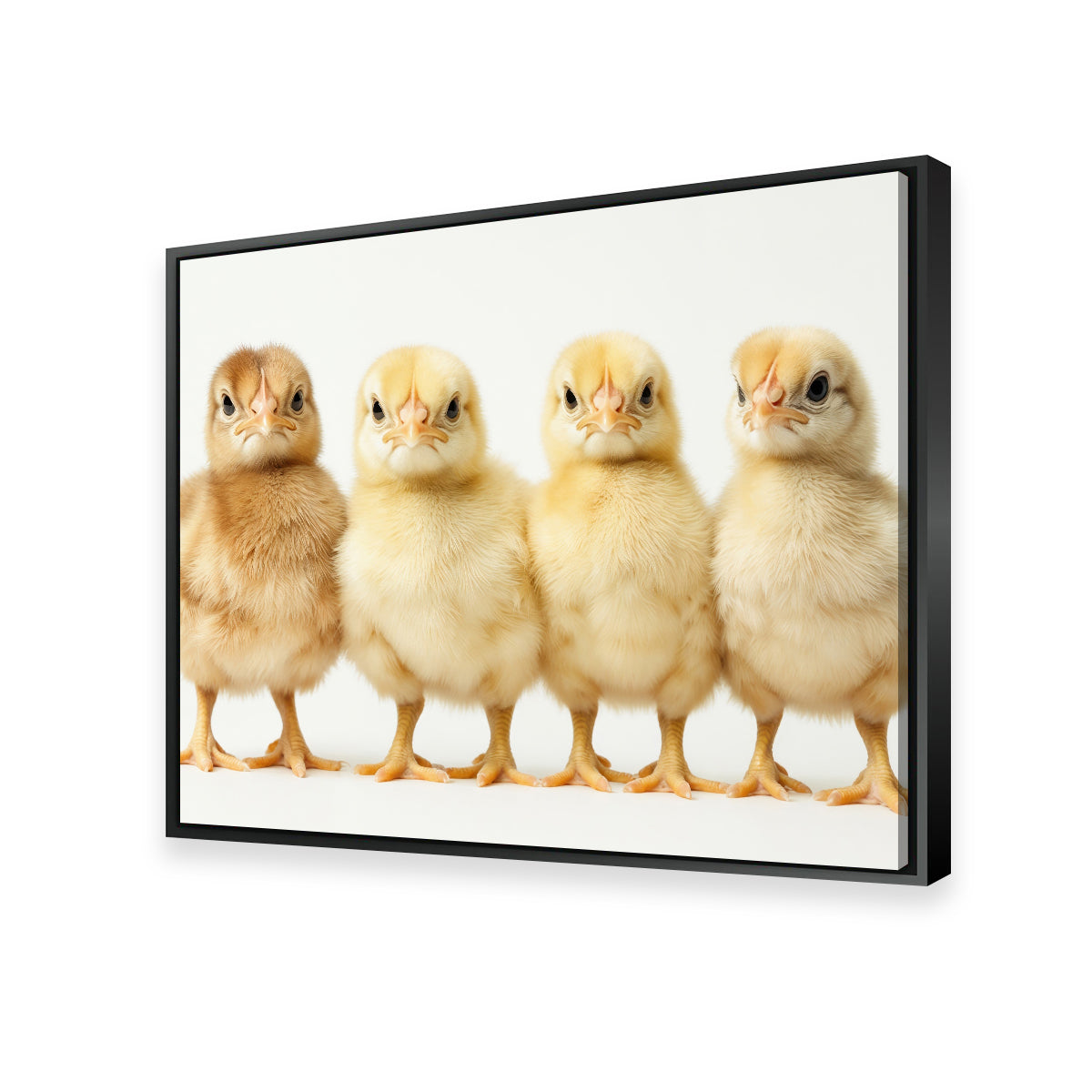 Adorable Four Baby Chickens Wall Art for Your Home Decor