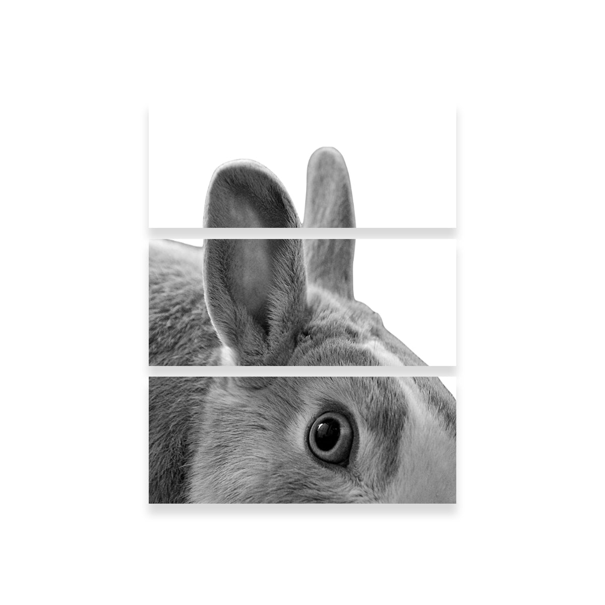 Exquisite Rabbit Wall Art by Lawisi