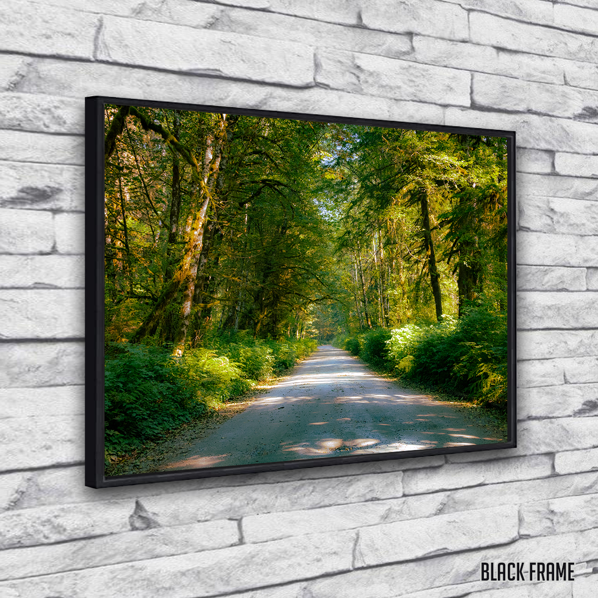 Exquisite Rainforest Road Wall Art by Kyle Sherry