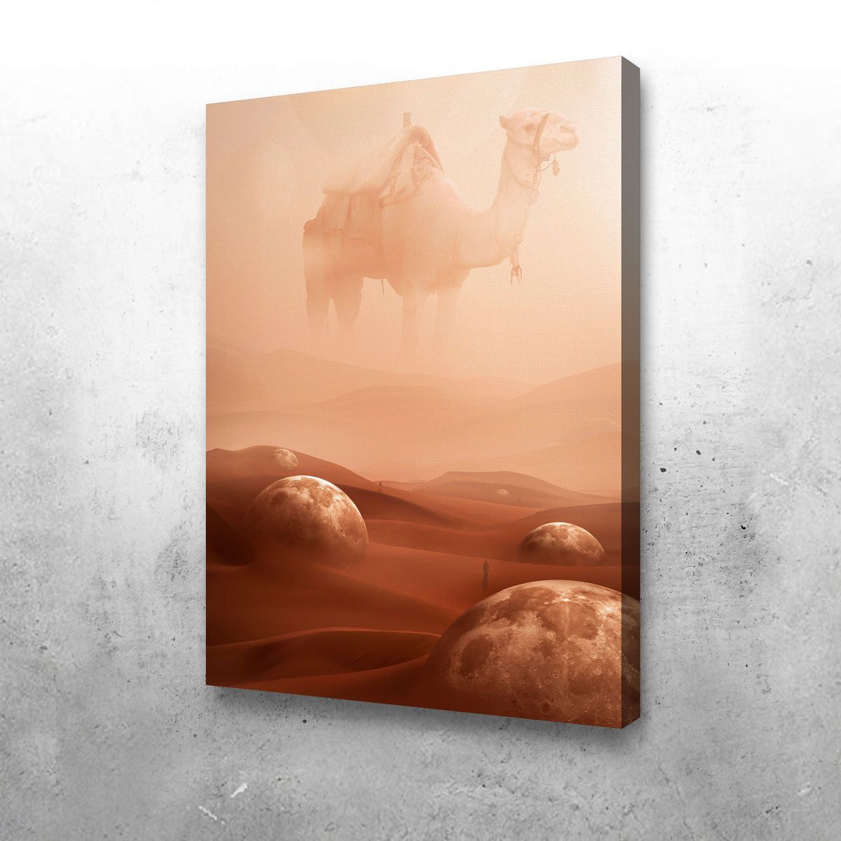 Exquisite Desert Moons Wall Art by Manuel Luces
