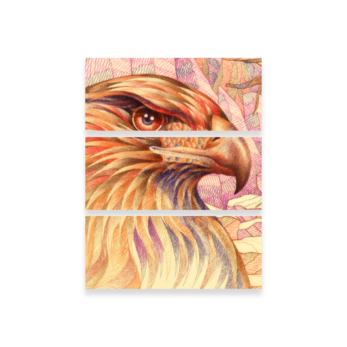 Eye - Catching Raptor's On The Lookout Wall Art for Your Home Decor