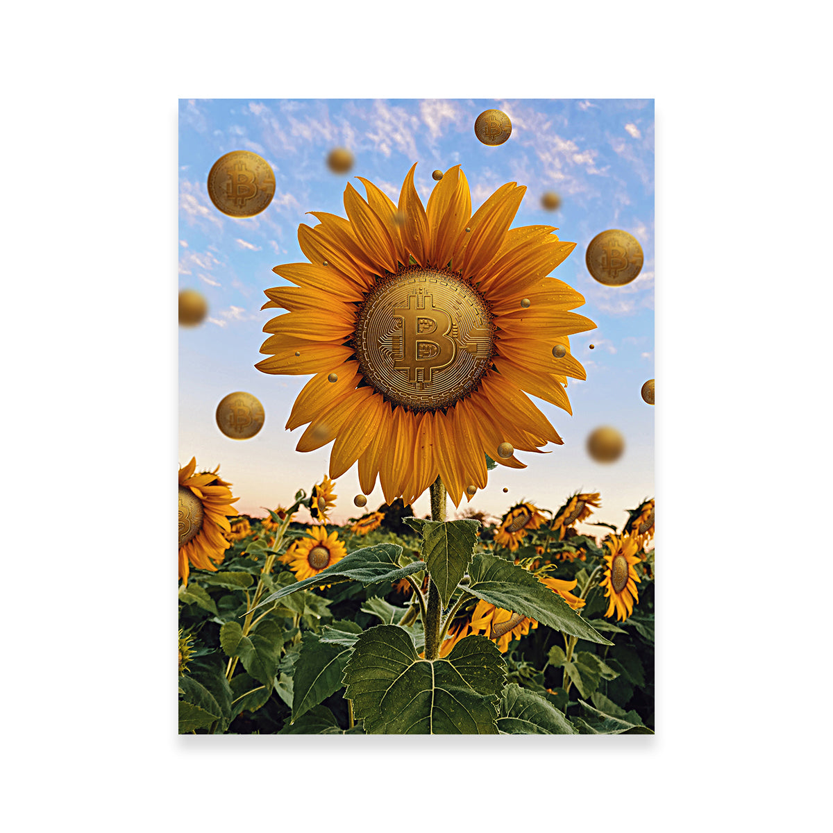 Exquisite Bitcoin Flower Wall Art for Stunning Home Decor