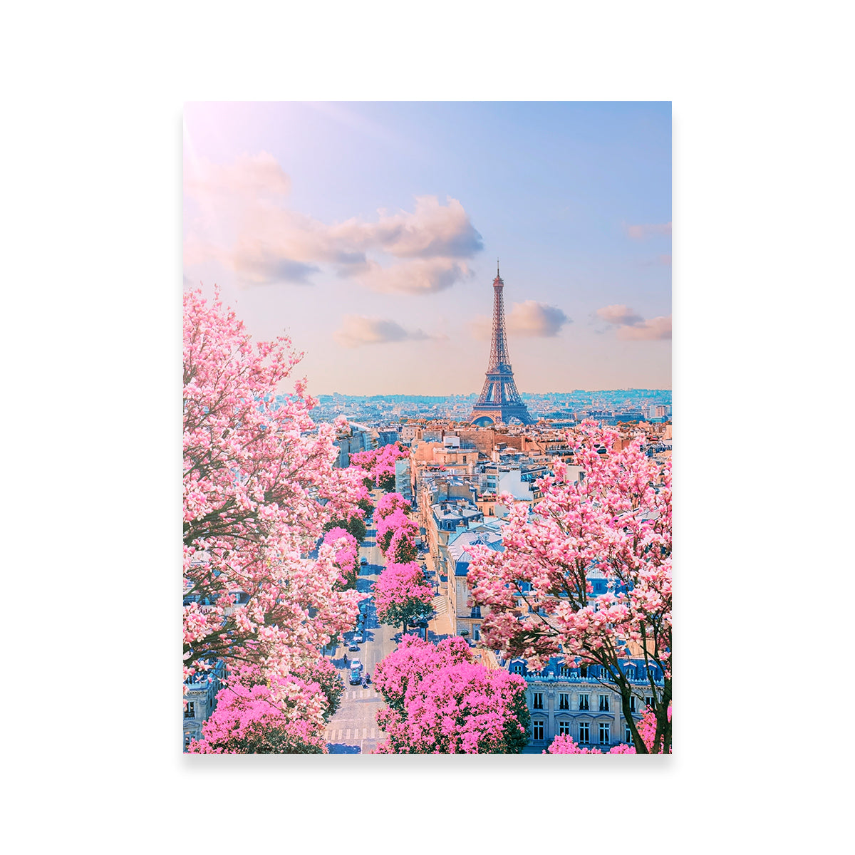 Exquisite Paris Sakura Wall Art for Home Decor