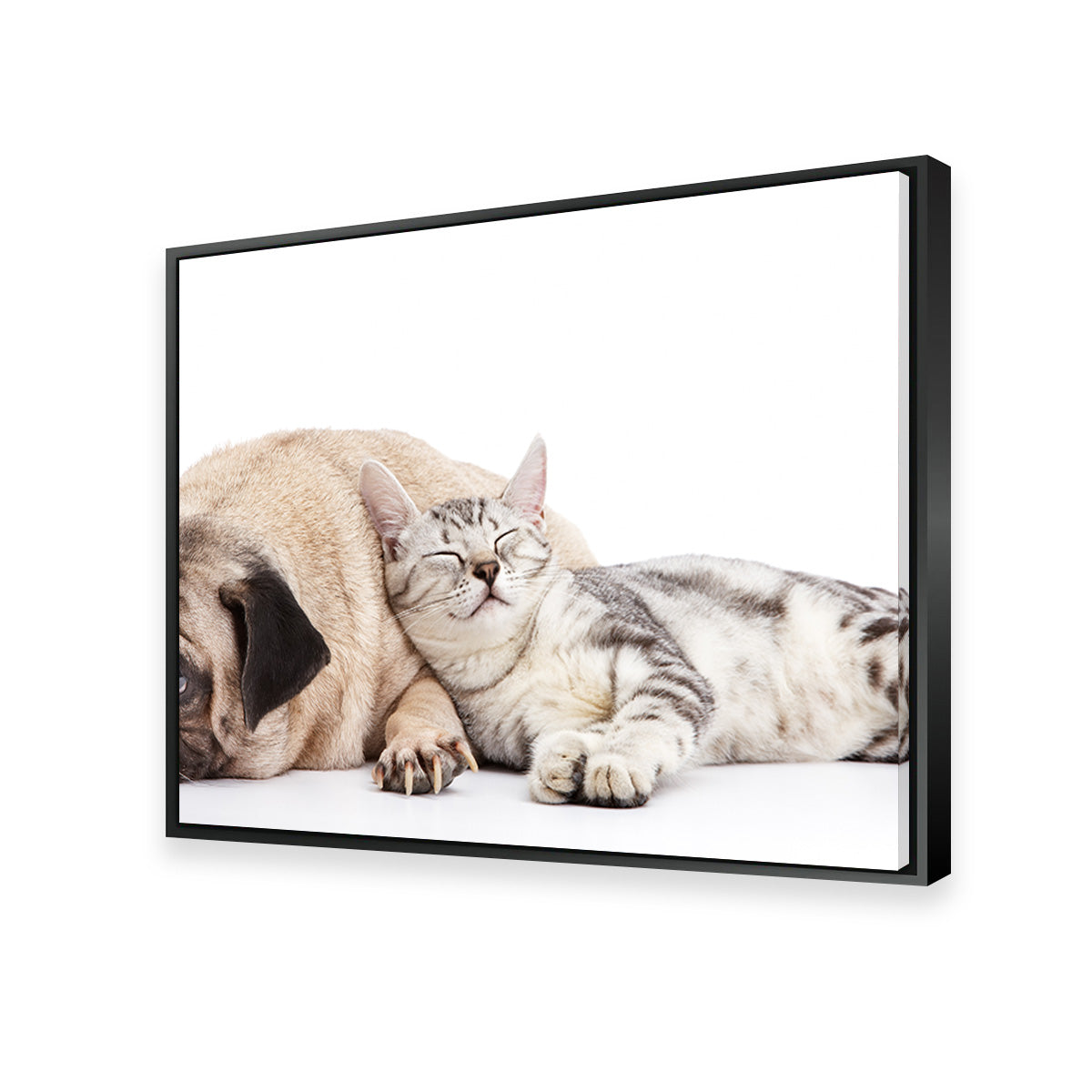 Adorable Pug and Cat Wall Art for Home Decor