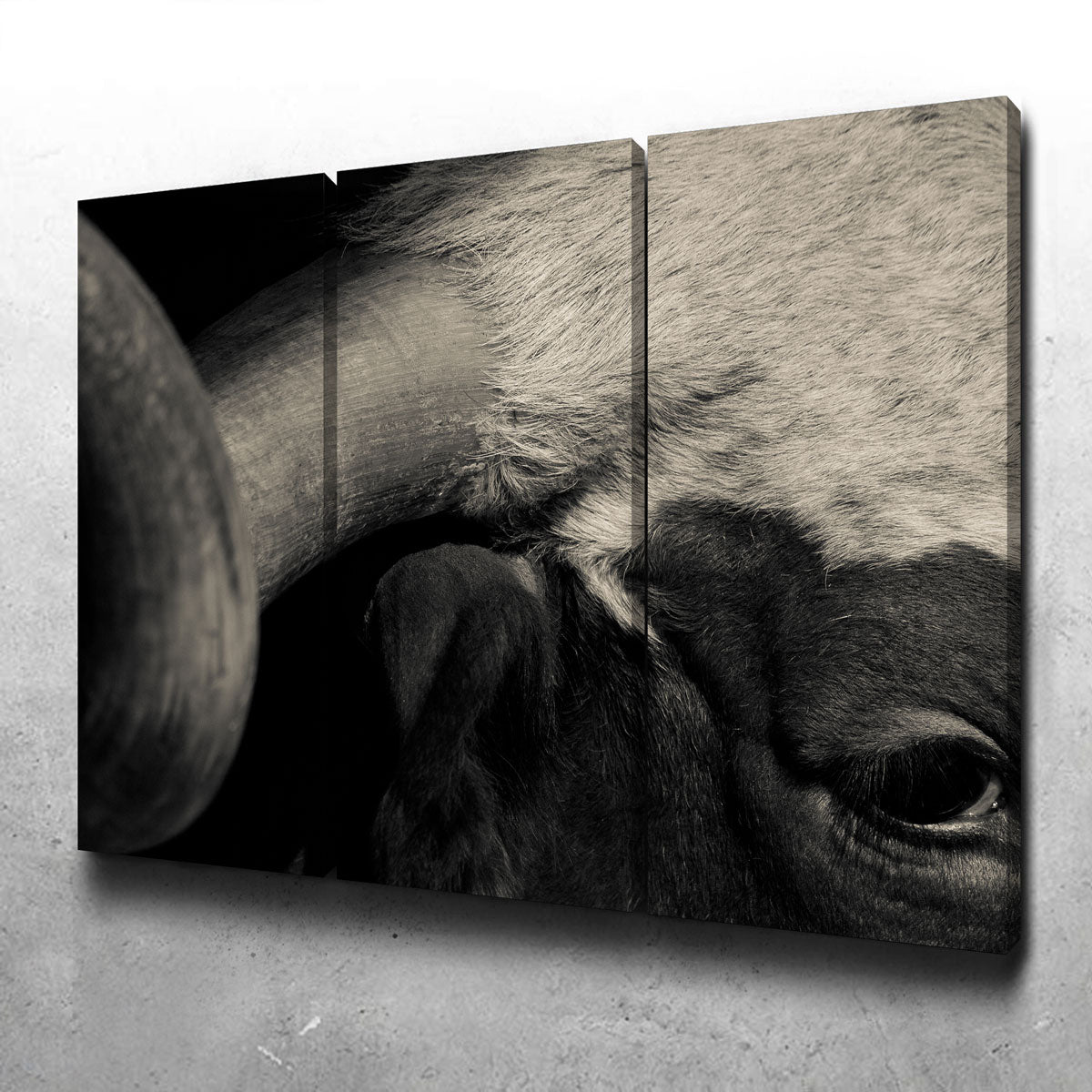 Stunning Texas Longhorn Cow Wall Art for Your Home Decor