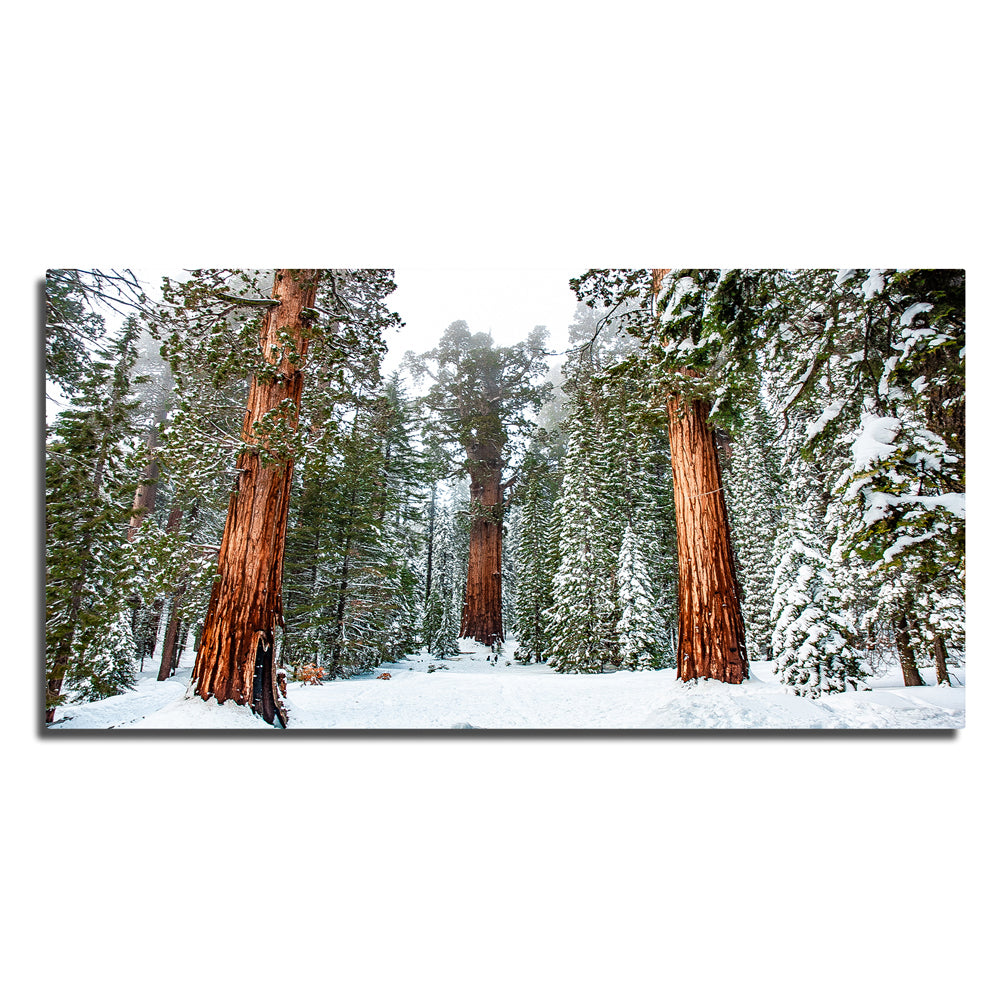 Kyle Sherry's Exquisite General Panoramic Wall Art
