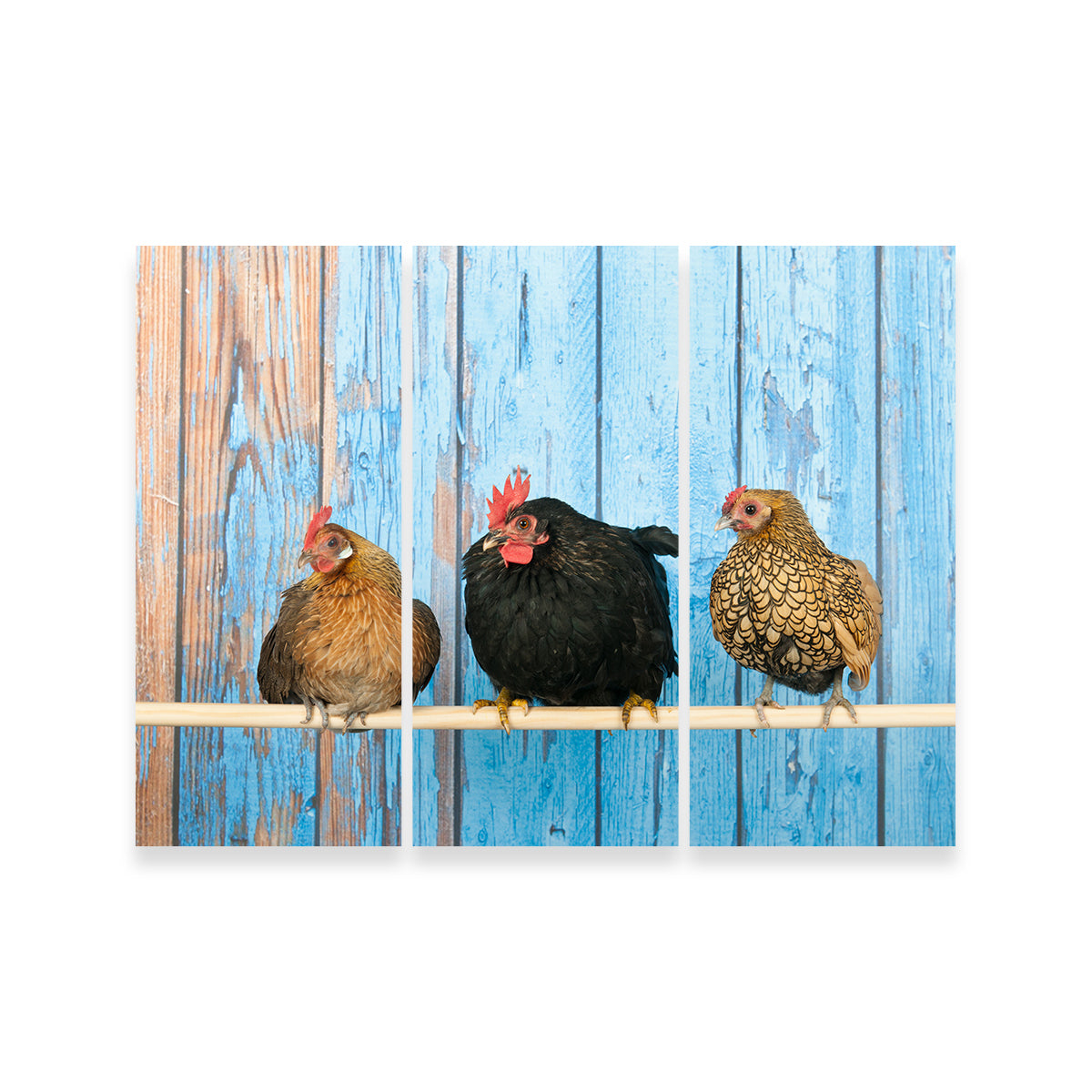 Exquisite Chickens in Henhouse Wall Art for Home Decor