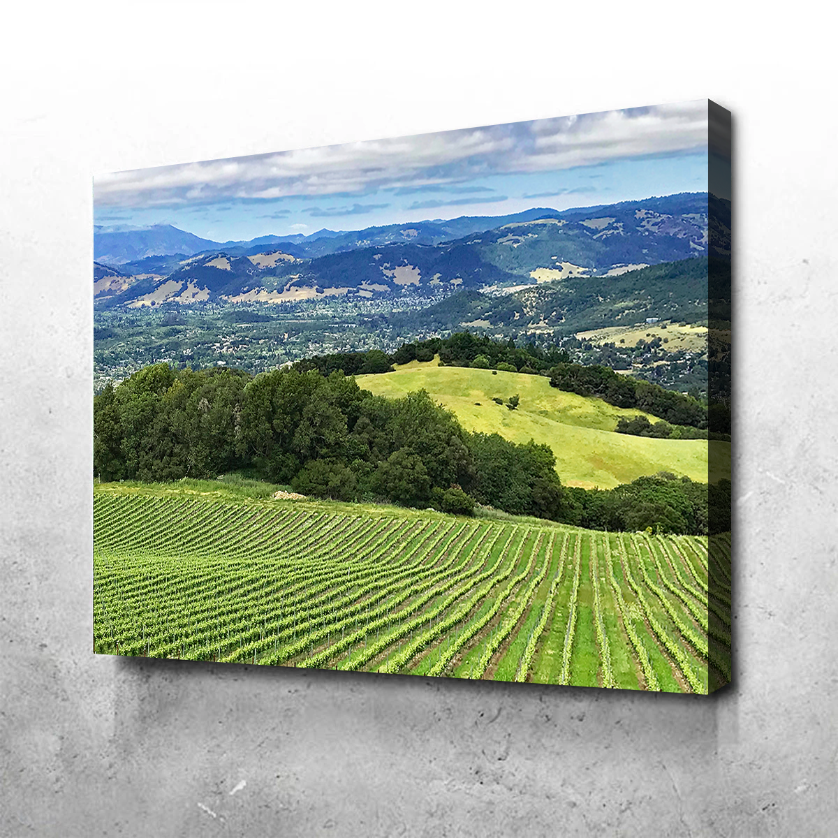 Stunning Rolling Hills and Vineyards of Sonoma County Wall Art for Your Home Decor