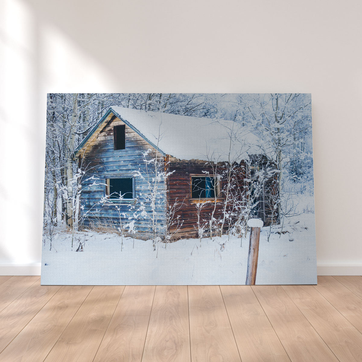 Stunning Abandoned Cabin Wall Art by Mike Cotton