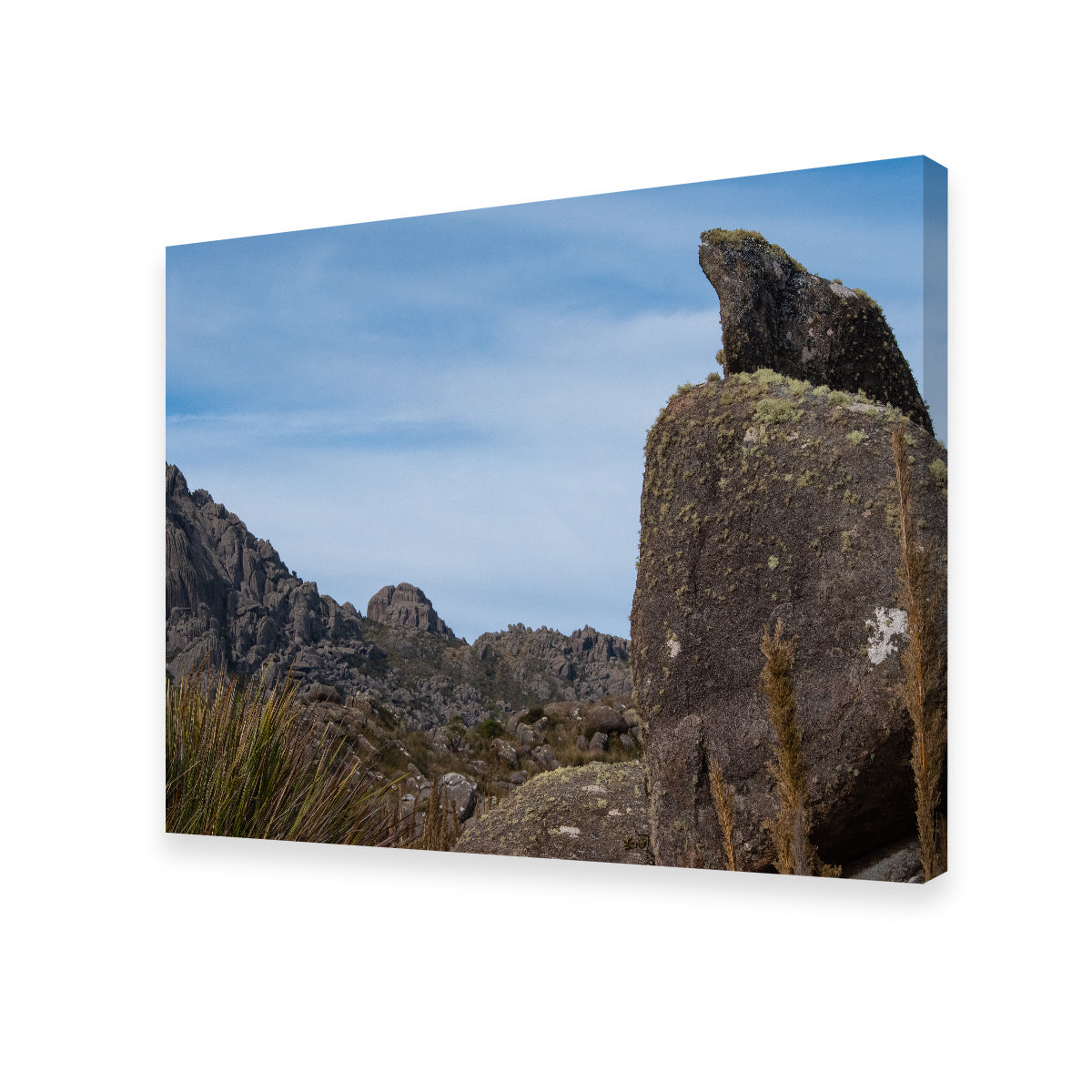Exquisite Rocky Mountains in Brazil Wall Art by Sofia Leite Fonseca
