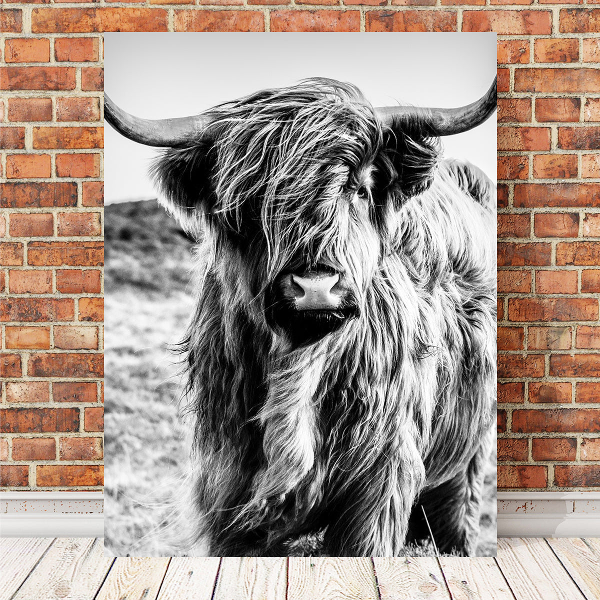Exquisite Scottish Highland Cow Wall Art for Stunning Decor