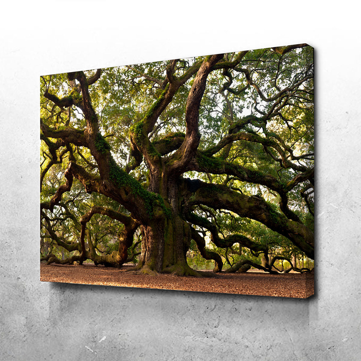 Exquisite Charleston Angel Oak Wall Art for Stunning Home Decor