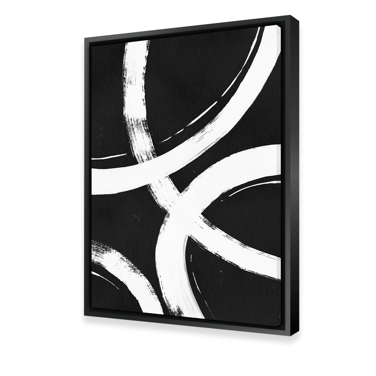 Stunning Black & White Rings Wall Art by Evgeny Vetrov