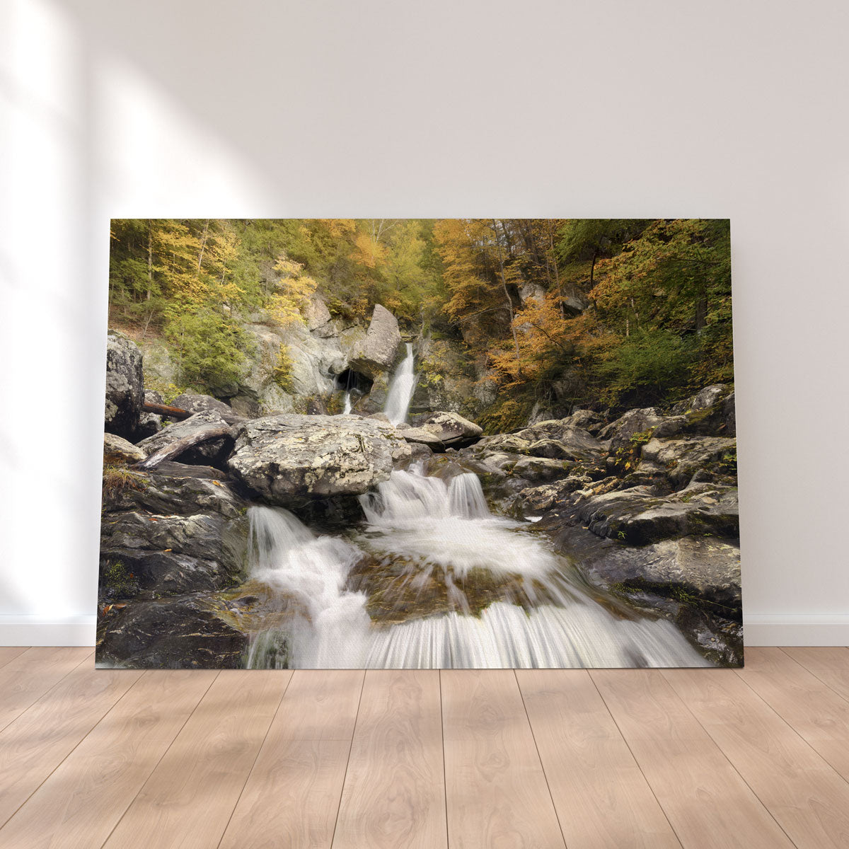 Stunning Down Stream Wall Art by Shaun Mayer