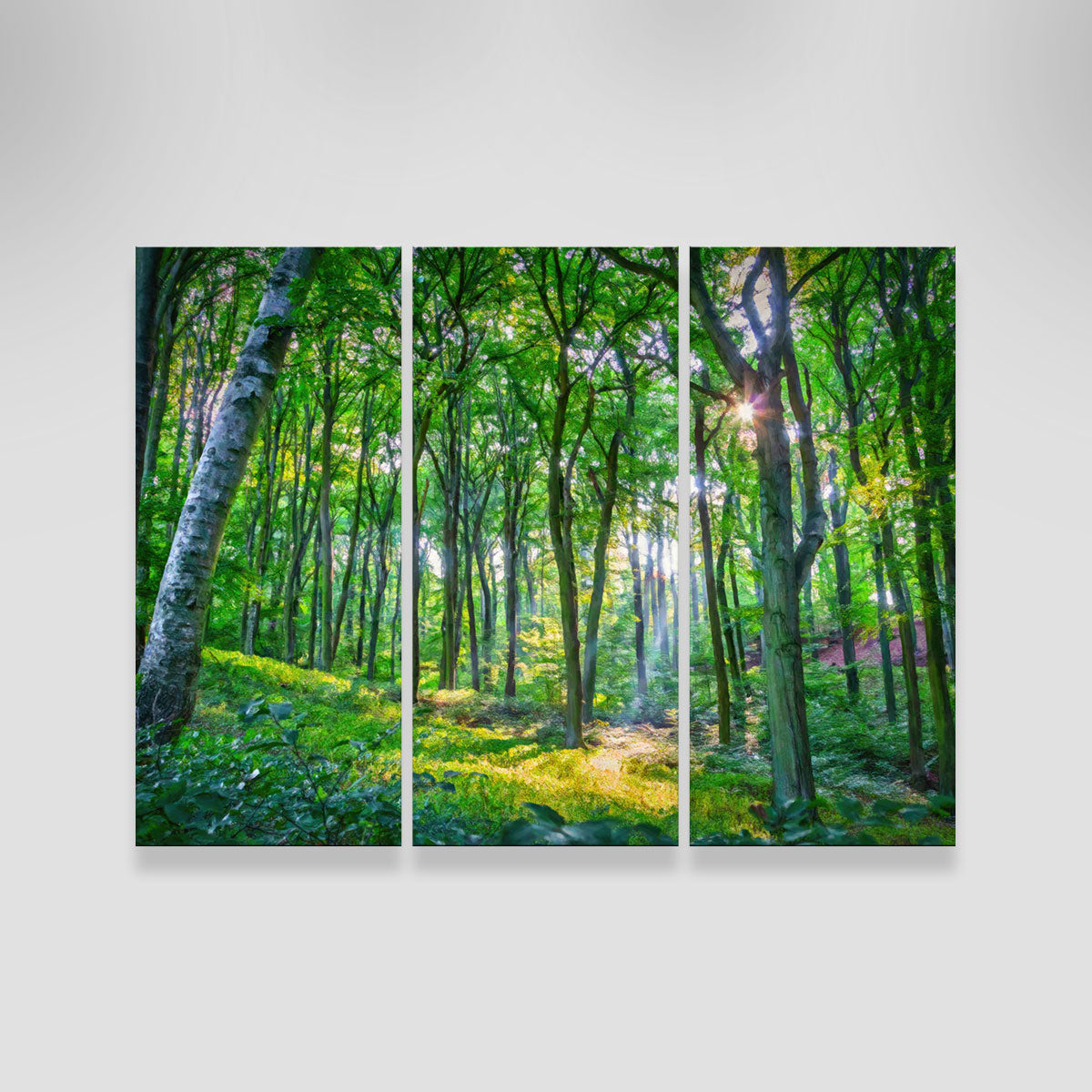 Gorgeous Emerald Forest Wall Art by Denise Dundon