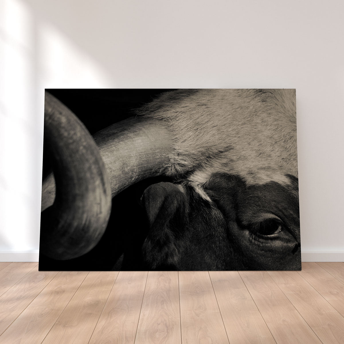 Stunning Texas Longhorn Cow Wall Art for Your Home Decor