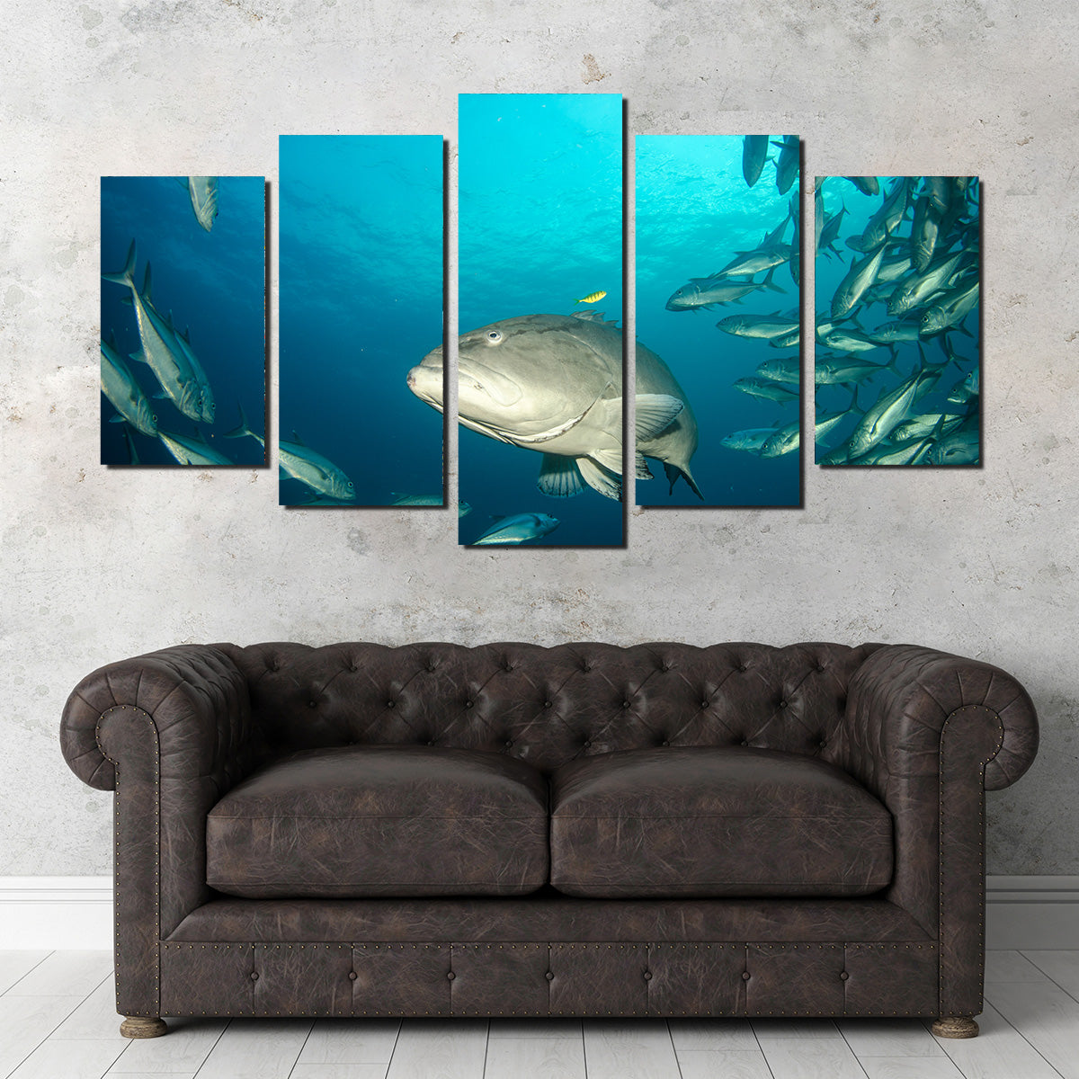 Exquisite Sea of Cortez Grouper Wall Art