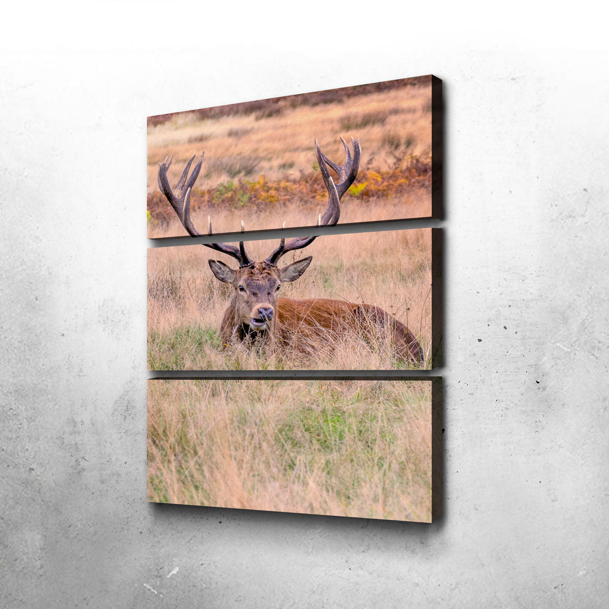 Stunning Richmond Park Wall Art by Mike Cotton