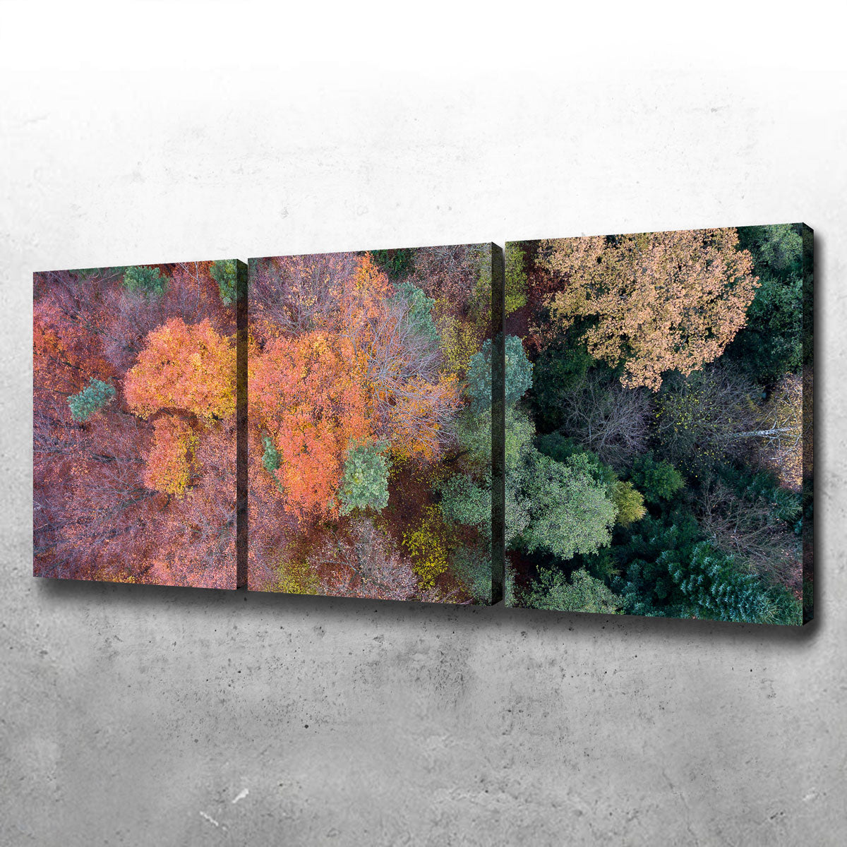 Stunning Orange and Green Wall Art by Karolis Janulis