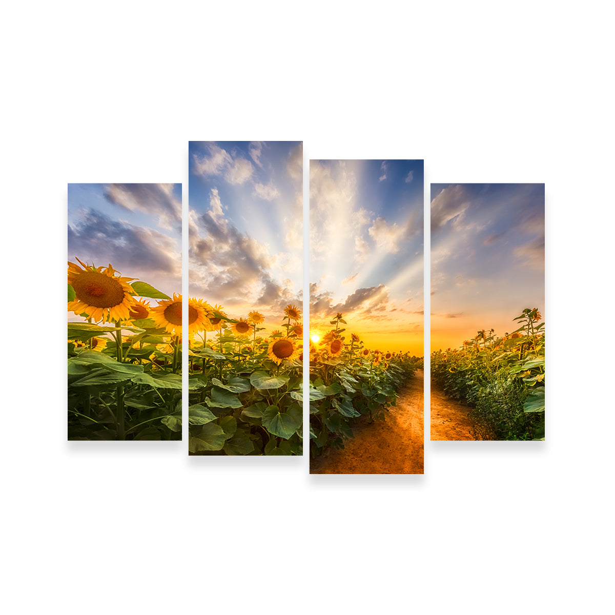 Gorgeous Path Through the Sunflower Field Wall Art by Melanie Viola
