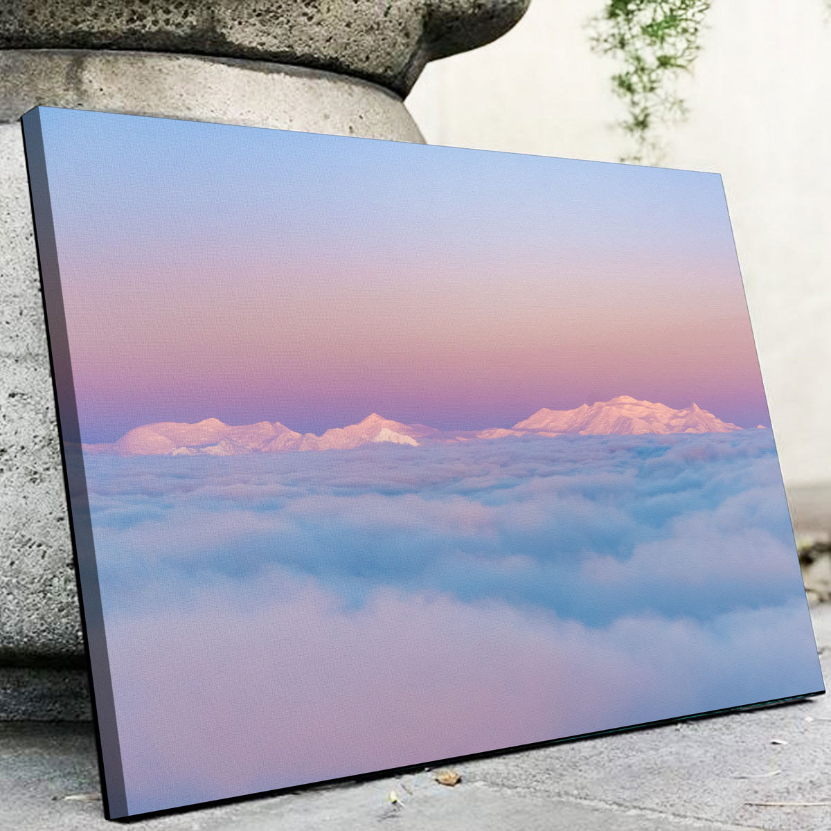 Exquisite Peaking Through Wall Art by Lucas Moore