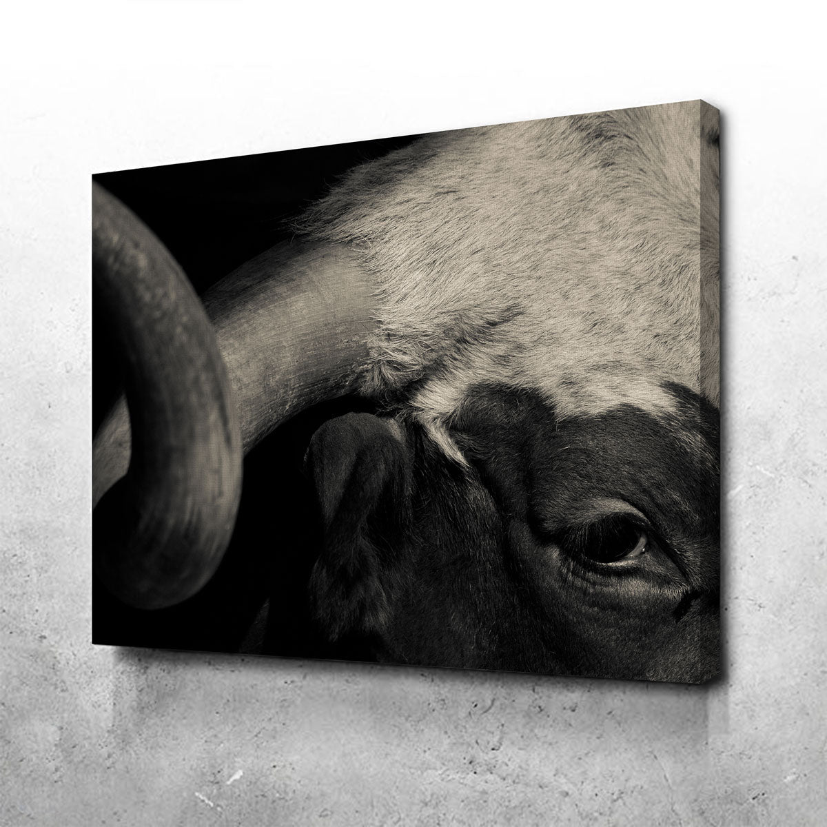 Stunning Texas Longhorn Cow Wall Art for Your Home Decor