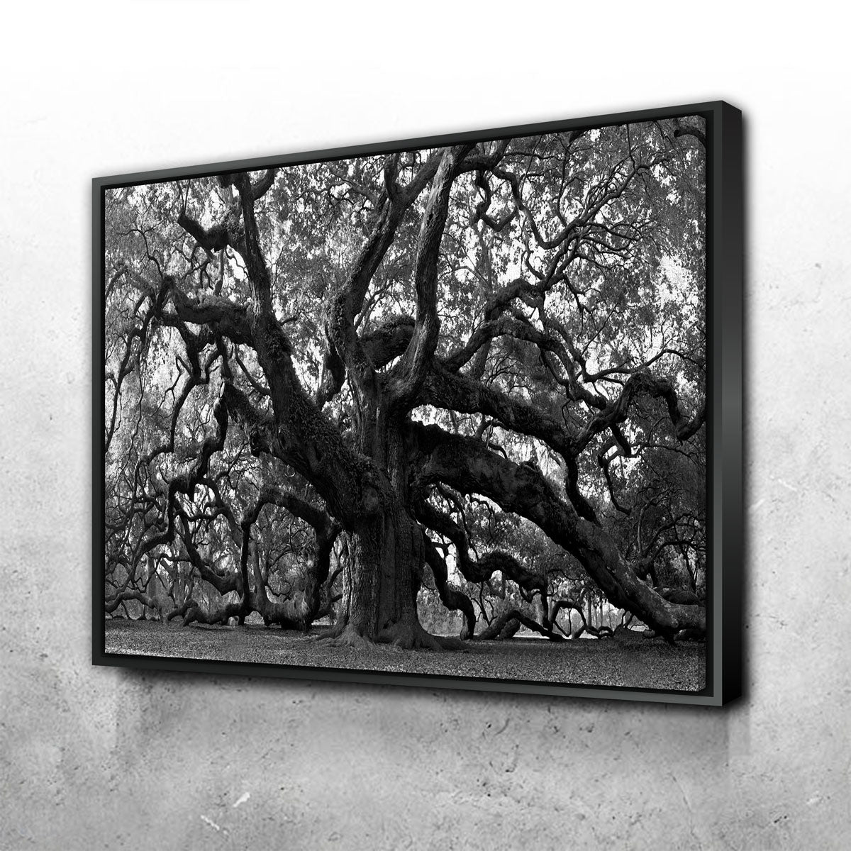 Stunning Charleston Angel Oak V2 Wall Art for Home Decor