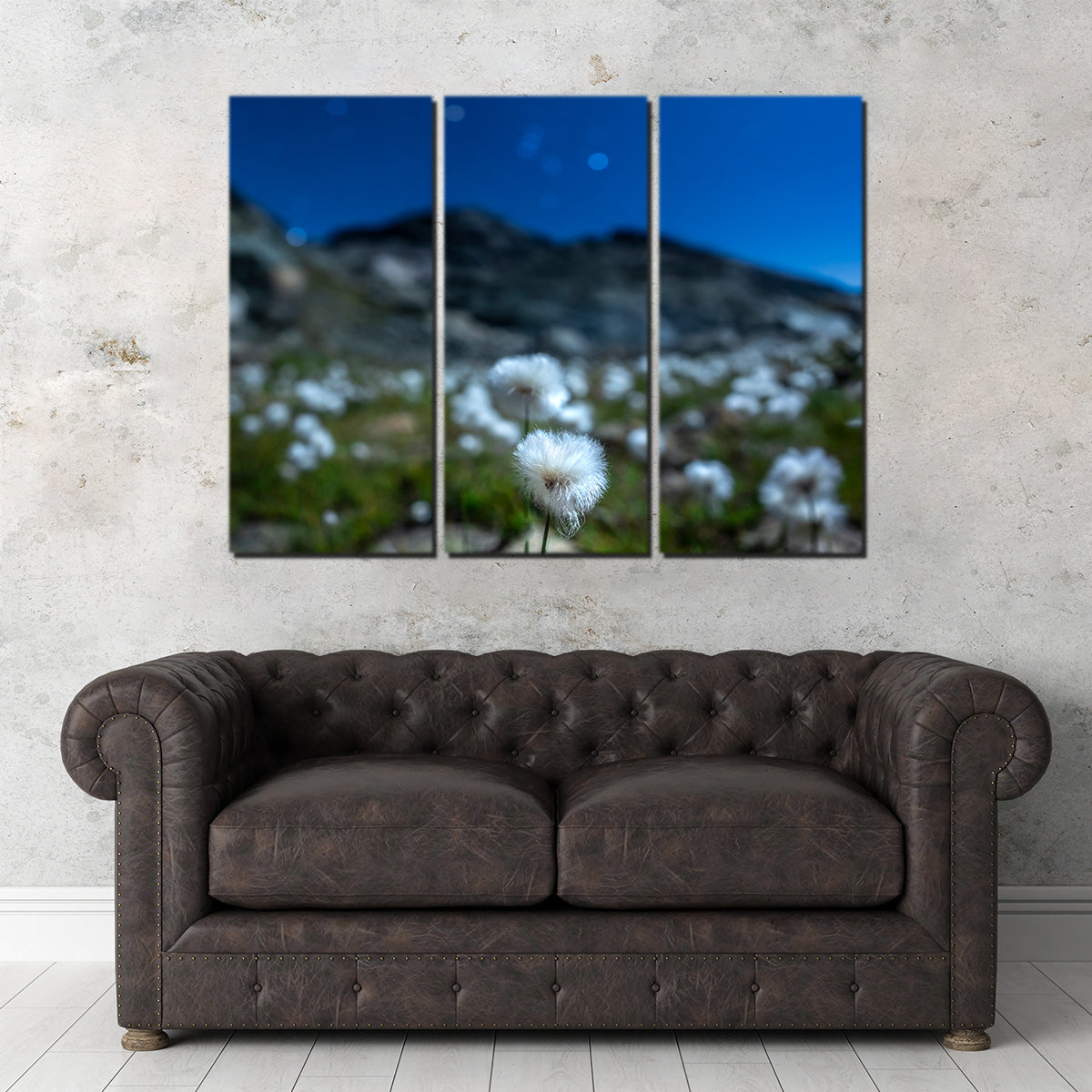 Exquisite Star Studded Linaigrette Wall Art by Jeff Graphy