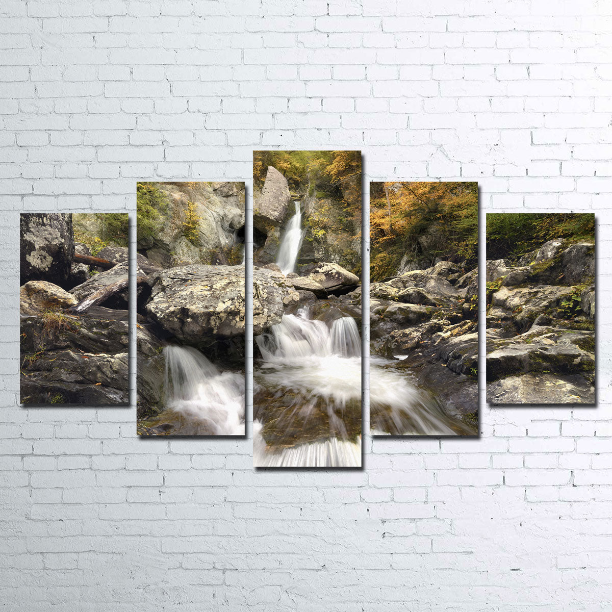 Stunning Down Stream Wall Art by Shaun Mayer
